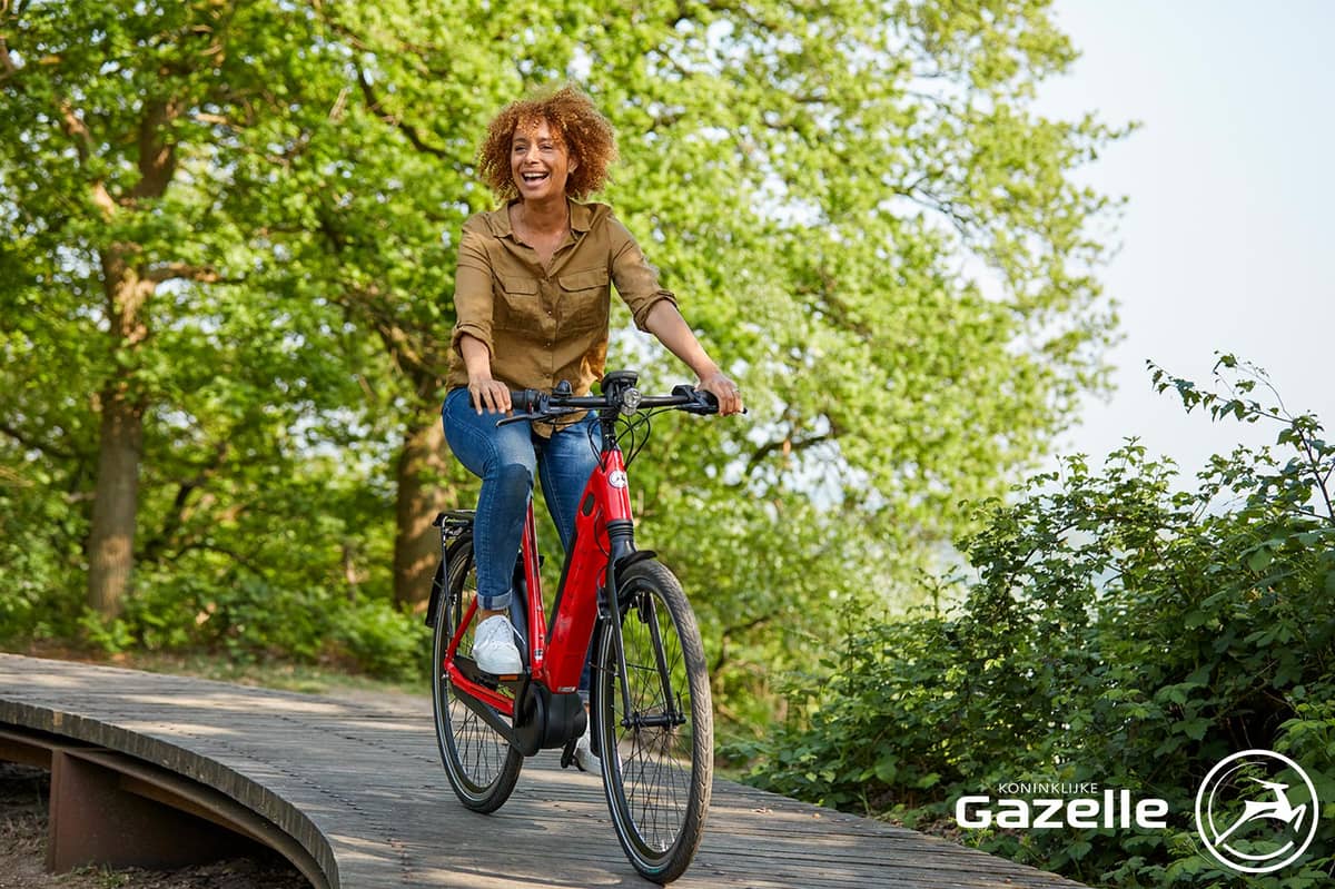 E Bike Leasing Gazelle